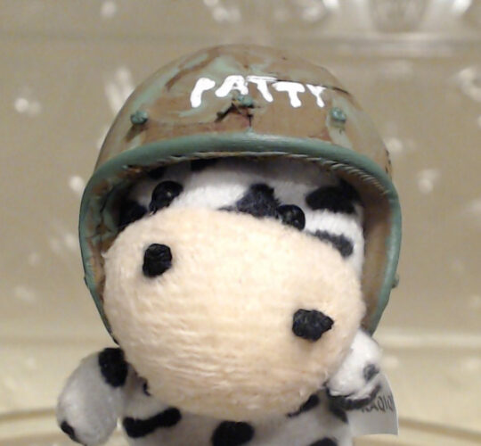 Patty Front